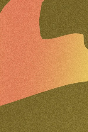 “¿Cuáles Fronteras?”