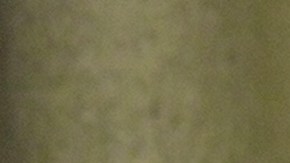 Peso Pluma_Alfa_'Genesis'