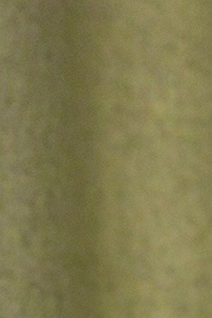 Peso Pluma_Alfa_'Genesis'