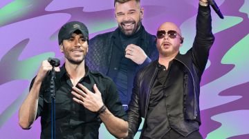 pitbull-ricky-enrique