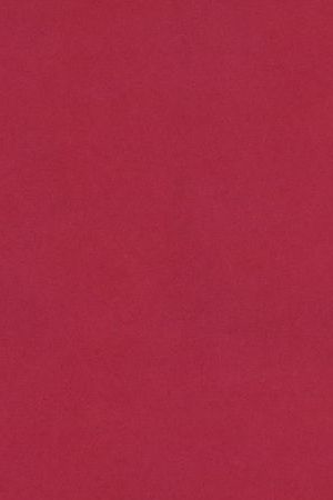 Mexico City Mayor Claudia Sheinbaum speaks during a press conference in Mexico City on June 12, 2023. Sheinbaum announced on Monday that she resigned from her post to seek the presidency of Mexico for the leftist ruling party, emerging as a favorite to succeed President Andrés Manuel López Obrador. (Photo by CLAUDIO CRUZ / AFP) (Photo by CLAUDIO CRUZ/AFP via Getty Images)