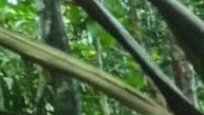 JUNGLE, COLOMBIA - JUNE 9: (----EDITORIAL USE ONLY - MANDATORY CREDIT - 'COLOMBIAN MILITARY FORCES / HANDOUT' - NO MARKETING NO ADVERTISING CAMPAIGNS - DISTRIBUTED AS A SERVICE TO CLIENTS----) Colombian Military Forces help four children who survived 40 days in the Amazon jungle after their plane crashed in the department of Caqueta on June 9, 2023. A miracle in the jungle is how Colombians are describing the discovery Friday of four indigenous children who survived 40 days in the Amazon jungle after their plane crashed. The children were flying May 1 from Araracuara, in Amazonas province, to San Jose del Guaviare, in southeastern Colombia when the plane malfunctioned and crashed. Three adults, including the children's mother, died. (Photo by Colombian Military Forces / Handout/Anadolu Agency via Getty Images)