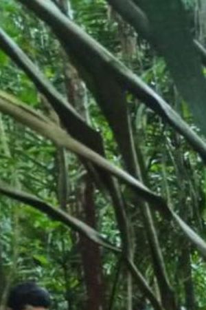 JUNGLE, COLOMBIA - JUNE 9: (----EDITORIAL USE ONLY - MANDATORY CREDIT - 'COLOMBIAN MILITARY FORCES / HANDOUT' - NO MARKETING NO ADVERTISING CAMPAIGNS - DISTRIBUTED AS A SERVICE TO CLIENTS----) Colombian Military Forces help four children who survived 40 days in the Amazon jungle after their plane crashed in the department of Caqueta on June 9, 2023. A miracle in the jungle is how Colombians are describing the discovery Friday of four indigenous children who survived 40 days in the Amazon jungle after their plane crashed. The children were flying May 1 from Araracuara, in Amazonas province, to San Jose del Guaviare, in southeastern Colombia when the plane malfunctioned and crashed. Three adults, including the children's mother, died. (Photo by Colombian Military Forces / Handout/Anadolu Agency via Getty Images)