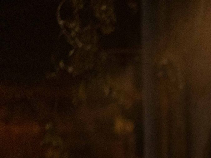 Harvey Guillén in What We Do in the Shadows