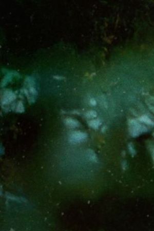 Juan Gabriel docuseries