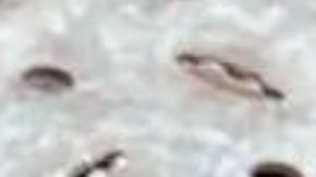 Kid Cudi x MSCHF collab