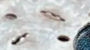 Kid Cudi x MSCHF collab