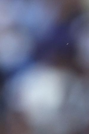 PARIS, FRANCE - JUNE 03: Lionel Messi of Paris Saint-Germain during the Ligue 1 match between Paris Saint-Germain and Clermont Foot at Parc des Princes on June 03, 2023 in Paris, France. (Photo by Julian Finney/Getty Images)