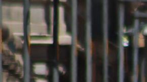 June 22, 2023 in Mexico City, Mexico: People protect themselves from the sun with umbrellas and quench their thirst with ice cream as they walk through the historic center, during the Orange Alert due to forecast high temperatures. (Photo credit should read Carlos Santiago / Eyepix Group/Future Publishing via Getty Images)