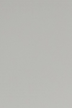 Natanael Cano_Nata Montana