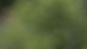 Florida Governor and 2024 Republican Presidential hopeful Ron DeSantis speaks during a news conference near the Rio Grande River in Eagle Pass, Texas, on June 26, 2023. DeSantis engaged with voters and residents in border-adjacent communities during a campaign event. (Photo by SUZANNE CORDEIRO / AFP) (Photo by SUZANNE CORDEIRO/AFP via Getty Images)