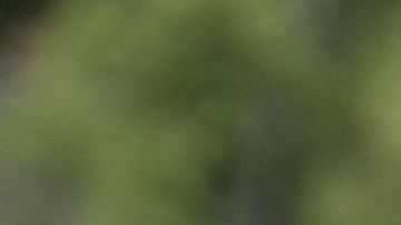 Florida Governor and 2024 Republican Presidential hopeful Ron DeSantis speaks during a news conference near the Rio Grande River in Eagle Pass, Texas, on June 26, 2023. DeSantis engaged with voters and residents in border-adjacent communities during a campaign event. (Photo by SUZANNE CORDEIRO / AFP) (Photo by SUZANNE CORDEIRO/AFP via Getty Images)