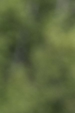 Florida Governor and 2024 Republican Presidential hopeful Ron DeSantis speaks during a news conference near the Rio Grande River in Eagle Pass, Texas, on June 26, 2023. DeSantis engaged with voters and residents in border-adjacent communities during a campaign event. (Photo by SUZANNE CORDEIRO / AFP) (Photo by SUZANNE CORDEIRO/AFP via Getty Images)