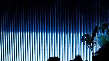 Photo Courtesy of Columbia Records