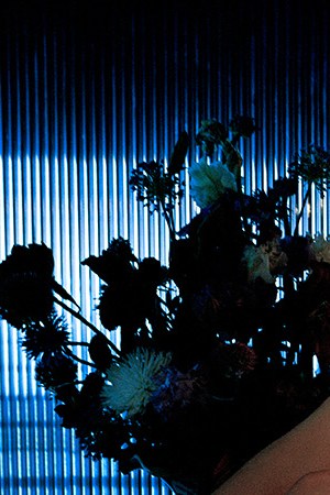 Photo Courtesy of Columbia Records