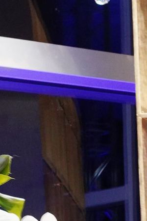 LOS ANGELES, CALIFORNIA - FEBRUARY 12: Spanto attends 1800 Tequila’s VIP dinner presented by the Los Angeles Rams and SoFi celebrating a historic season for the Los Angeles Rams and LA taste and culture at Penthouse 56 on February 12, 2022 in Los Angeles, California. (Photo by Presley Ann/Getty Images for 1800 Tequila)