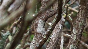 Photography by Juan Diego Reyes.