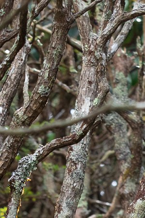 Photography by Juan Diego Reyes.