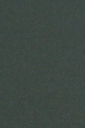 Tei Shi_'¿QUIÉN TE MANDA?'