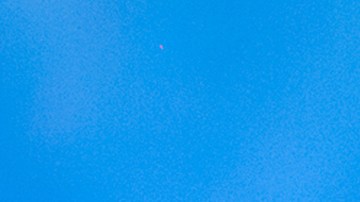 Yailin La Más Viral_‘Narcisista’_