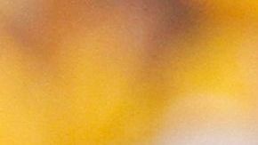 IOWA CITY, IOWA- SEPTEMBER 7: Graduate assistant coach DJ Hernandez of the Iowa Hawkeyes during a break in the action in the first quarter against the Missouri State Bears on September 7, 2013 at Kinnick Stadium in Iowa City, Iowa. Iowa won 28-14. (Photo by Matthew Holst/Getty Images)