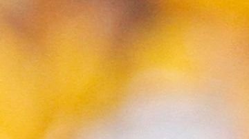 IOWA CITY, IOWA- SEPTEMBER 7: Graduate assistant coach DJ Hernandez of the Iowa Hawkeyes during a break in the action in the first quarter against the Missouri State Bears on September 7, 2013 at Kinnick Stadium in Iowa City, Iowa. Iowa won 28-14. (Photo by Matthew Holst/Getty Images)