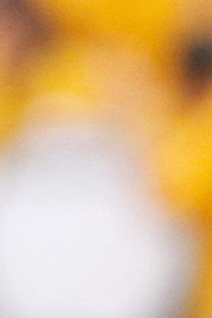 IOWA CITY, IOWA- SEPTEMBER 7: Graduate assistant coach DJ Hernandez of the Iowa Hawkeyes during a break in the action in the first quarter against the Missouri State Bears on September 7, 2013 at Kinnick Stadium in Iowa City, Iowa. Iowa won 28-14. (Photo by Matthew Holst/Getty Images)