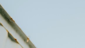 Carin Leon_F*ck Regional Movement