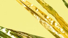 Grag Queen set to host Drag Race Brazil