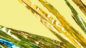 Grag Queen set to host Drag Race Brazil