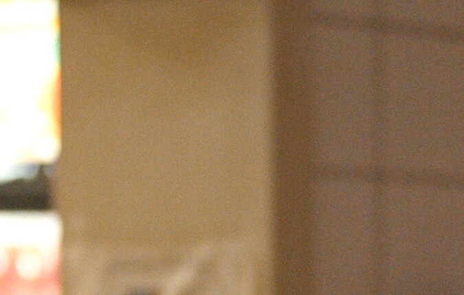 Justina Machado (Dolores Roach), Alejandro Hernandez (Luis)