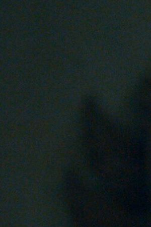 Justina Machado (Dolores Roach)