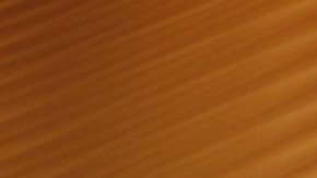 Courtesy of Youth To The People.