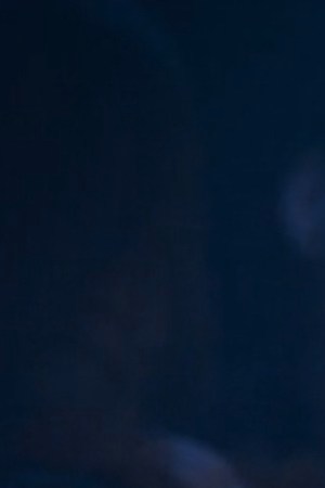 Liza Colón-Zayas in The Bear season 2