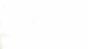 This Fool stars Frankie Quinones and Chris Estrada