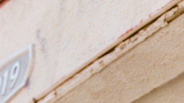 Photo by Thalia Gochez