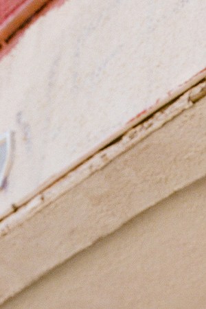 Photo by Thalia Gochez