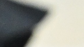 Bad Bunny Impersonator