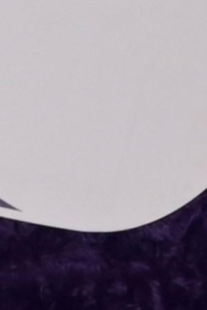 Danna Paola_Tomorrowland