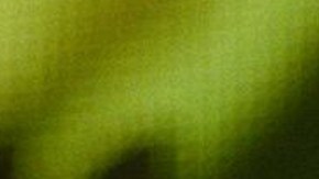 Cardi B Rolling Loud Miami