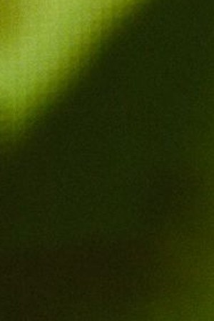 Cardi B Rolling Loud Miami