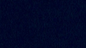 ‘Quiénes Son?’-LALI