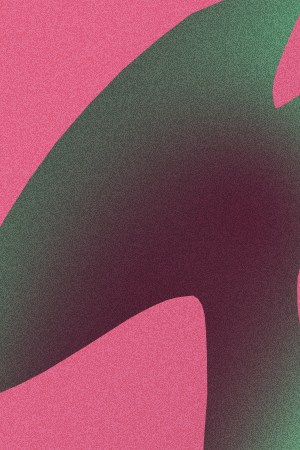 'LADY GAGA'-junior-pp-gabito