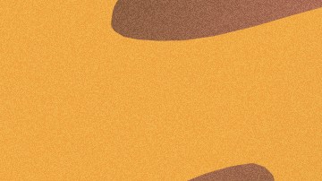 lila-residente_President