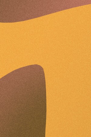 lila-residente_President