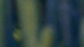 Kenia Os_‘Año Sabático’