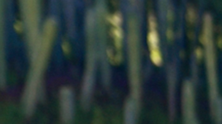 Kenia Os_‘Año Sabático’