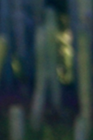 Kenia Os_‘Año Sabático’