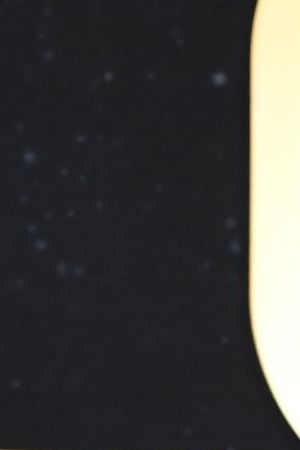 LOS ANGELES, CALIFORNIA - OCTOBER 26: Alexa Demie attends as Tiffany & Co. celebrates the launch of the Lock Collection at Sunset Tower Hotel on October 26, 2022 in Los Angeles, California. (Photo by Jon Kopaloff/Getty Images for Tiffany & Co.)