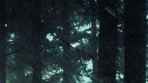 Horror, sci fi concept of aliens standing in a forest. Silhouetted by bright UFO lights at night